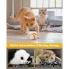 Contrôle des jouets de chat Smart Mouse interactifs électroniques PET PET MICE TOYS INDOOR POUR ACCESSOIRES DE CAT POUR CAT TEASER CHEST
