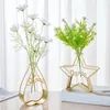 Vases 2024 Récipient hydroponique 2PCS / Set Style nordique Géométrique Fleur Vase Vase Star Forme Métal Filtre Verre Decoration Home