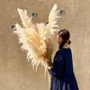 Decorative Flowers 80-120cm Big Pampas Grass Gray Large Long Natural Dried Fluffy Artificial For Home Boho Decor Wedding Decoration