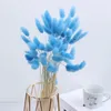 Fleurs décoratives 100pcs réels de fleurs séchées florales naturelles herbe mélange bouquet mélangé coloré Lagurus ovatus pour mariage po