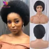 Parrucche afro stravaganti remy brasiliana parrucca corta con capelli umani parrucche cortle per donne parrucche per capelli umani ricci.