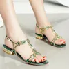 Women Green Blue Gold Rhinestone Sandals Tstrap Square Heel 25cm Lowheeled Party Shoes Back Buckle Big Size 240412