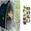 Bolsas Carrier de loros Caza de aves portátiles con Pret y alimentador Acrílico 180 ° Bolsa de mochila para mascotas para hacer pájaros para aves