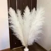 Decorative Flowers 80-120cm Big Pampas Grass Gray Large Long Natural Dried Fluffy Artificial For Home Boho Decor Wedding Decoration