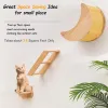 スクラッカー1PCWALLMOUNTED CAT HAMMOCK WOOD PET FURNITURE CAT WALL SHEELLS CAT TREE TREAR