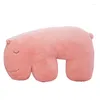 Pillow Ins Style chega 1 peça urso polar dormindo 2024 moda 70cm 90cm Outdoor S