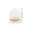 Vasen handgefertigte Glasabdeckung Case Eternal Flower Desktop Dome Globe Glühe Zorn-Schmuck-Cloche mit Holzbasis