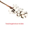 Decorative Flowers Cotton Stems Natural Dried Artificial Floral Bouquet Flower Vase Filler Farmhouse Living Room Home Decor