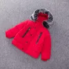Down Coat Children's Clothing Small And Medium-sized Boys' Cotton Jackets INS Explosion Style Fur Collar Cotton-padded Jacket Manufacturer