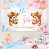 Decoración de fiestas Bear Género Revelación Antecedente de fondo Decoración de cumpleaños para niños Suministros de niñas Favores Baby Shower