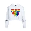 Sweatshirts Nya gratis hbt -flagghuvtröja Sweatshirt för lesbisk gay stolthet Färgglada regnbågskläder för homosexuell heminredning gay vänligt hbt -kapital