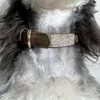 Designer Pet dog harness collar set leather fashion brand French Dou Corgi Schnauzer leash harness vest style cat 3A quality