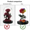 Fleurs décoratives délicates Visible Fleur préservée Jolie rose éternelle artificielle en verre Dame Gift