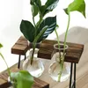 Vases Terrarium Frame en bois Hydroponic Plant Green Plants Pot Transparent Vase Tabletop Decoration Bure