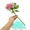 Decoratieve bloemen 200 % Bloembuis Floral Water Tubes Flacons Container voor arrangementen Decoratie 4 cm