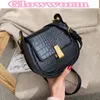 Borsa 2024 Mini Crossbody Simple Female Travel Borse da viaggio da donna Modello di pietra da donna PU SADLE PETTURA PER SCHEDA PERCHIE