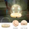 Vasen handgefertigte Glasabdeckung Case Eternal Flower Desktop Dome Globe Glühe Zorn-Schmuck-Cloche mit Holzbasis