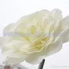 Fleurs décoratives 30 cm (12 ") Big mousse de fleur de rose pour le stade de mariage fond de décoration porte de fête de fête 5 couleurs