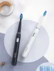 Kafalar Seago Elektrikli Diş Fırçası Sonic USB Yetişkin Akıllı Diş Beyazlatma için Şarj 4 Modun Değiştirme Kafaları Yol Seyahat Tase SG551