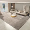 Carpets Warm Living Room Carpet Making The Home More