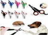 Roestvrij staal Clipper Dogs Cats Nail Scissors Trimmer Pet verzorgingsproducten voor huisdieren Health 5215953