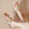 Casual Shoes Comfort For Women Female Sandal 2024 Summer Open Toe Flip Flops Platform Large Size Girls Pearl Velvet Peep Square Rhinest