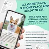 Dog Apparel Silent Sile QR Código de identificação Pet Tags - Online Perfil Scan Receber e -mail de alerta de localização instantânea para entrega de colar