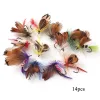 Accessoires 64pcs/Set Insekten Fliegen Fliegenfischköder Köder Hoch Kohlenstoffstahl Haken Fisch Tackle mit superschärften Kurbel Haken Perfect Decoy