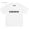 EssentialsShorts EssentialSshirt Shirt Essentals Classic Basic Ricorso BASCIO COTON SCUN PIMLO TERNO TERNO ISOLA TSHIRT 24SS SHORTS SHORTS MATH GRAFICA TEE 182