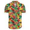 Camicie casual maschile hawaiaian beach flower 3d stampe streetwear uomini donne alla moda floreale camicia a maniche corte camicetta harajuku abiti da uomo harajuku