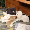 Dolls de pelúcia de gatos de pelúcia recheados simulação de brinquedo de pelúcia American shorthair