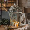 Bougends artisanaux Chic Shabby Bird Cage Shape Greeder avec fleur ornée Vintage Lantern Table Decoration Accessoires