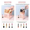 Bins Plastic Transparent Lipstick Box Pushup and Dropoff Compartment Desktop Holder Dustproof Storage with Lid