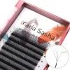 Cils Maria 10 Cas 4d W Brack en forme de faisceau Extensions de cils Patch Faux Private Label Wholesale Clusters Easy Fan Volume Lashes Makeup