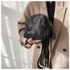 Sacs de soirée 2024 Femmes Nylon Quilted Sacked Black Handbag Lady Tendances hivernales mignonnes Smart Phone Intentiste Portable Zippy Crossbody