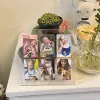 Frames Kawaii middle 6 Card Slot Kpop Photocard Holder 3 inch polaroid Idol Card Photo Holder Frame Tabletop display stands Stationery