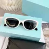 women mens sunglasses Spring/Summer Red Zone niche trendy brand FK cat eye popular on internet with of chenel