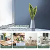 Decoratieve bloemen decor kunstmatige tijger diy bloem arrangement materialen slangplant ornament nep planten grote levensecht sansevieria