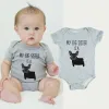 One-Pieces 024M Kids Romper My Big Sister Has Paws Newborn Baby Clothes Playsuit Sunsuit Outfits Infant Boys Girls Summer Rompers Costume