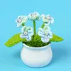 Decorative Flowers Artificial Potted Handmade Gradient Forget Me Not Mini For Home Car Decoration Knitting Crochet Women