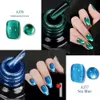 Maychao 12 ml gel nagellak jelly cat oog afwezig met holografische magnetische gel nagellak voor nagelmagneet geschenk nagels kunstaccessoires 240423