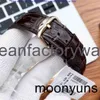 orologio meccanico Iwcity orologio funzionale in pelle da uomo 40 mm adatto per orologi pilota di grandi dimensioni con il polso di bertori di moda portoghese luminosa 2p supe 7h1n