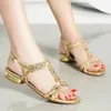 Women Green Blue Gold Rhinestone Sandals Tstrap Square Heel 25cm Lowheeled Party Shoes Back Buckle Big Size 240412