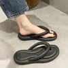 Slippels Zomer Women Fashion Ladies Clip Toe Flat Heel Outdoor Vrouw Vrouw Casual Candy Color Glaasjes Flop Flops House Sandalen
