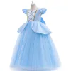 Pulls costume de princesse pour filles robe de mariée fleur Cendrillon cosplay costume enfants moelleux fille fille robes de fête du soir