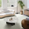 Carpets Warm Living Room Carpet Making The Home More