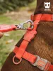 Gurte mittelgroße und große Hundegärte wasserdichtes Hundekabelbaum Golden Retriever Labrador Marinois Hunde Walking Dog Accessoires
