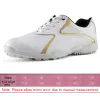 Set Women Golf Chaussures de golf Breatte en cuir en cuir en cuir imperméable Chaussures de sport ongles