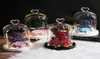 Teddy Bear Rose Flowers In Glass Dome Christmas Festival DIY Cheap Home Wedding Decoration Birthday Valentine039s Day Gifts7129582