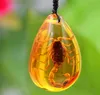 Natural Insect Stone Amber Baltic Pendant Necklace Home Decoration Stone Wedding Travel Gift6943030
